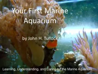 Your First Marine Aquarium by John H. Tullock