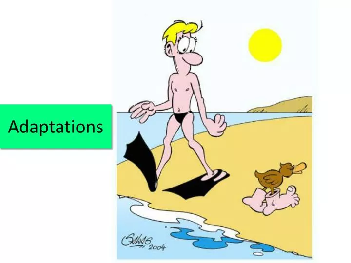 adaptations