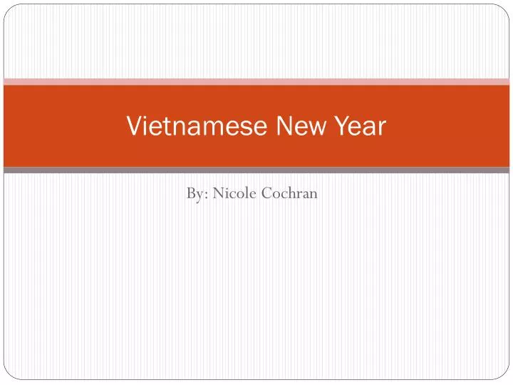 vietnamese new year
