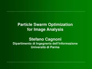 Particle Swarm Optimization for Image Analysis Stefano Cagnoni