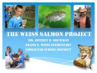 The Weiss Salmon Project