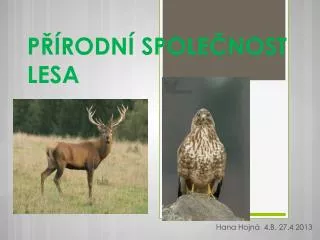 p rodn spole nost lesa