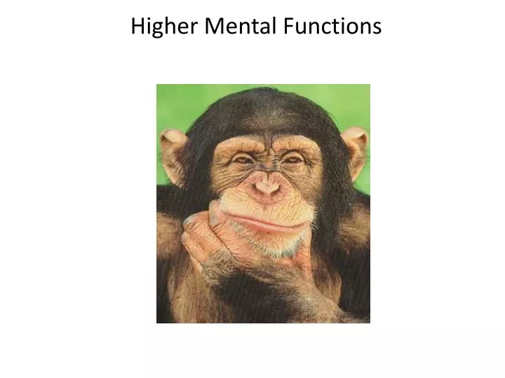 higher mental functions
