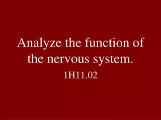 analyze the function of the nervous system