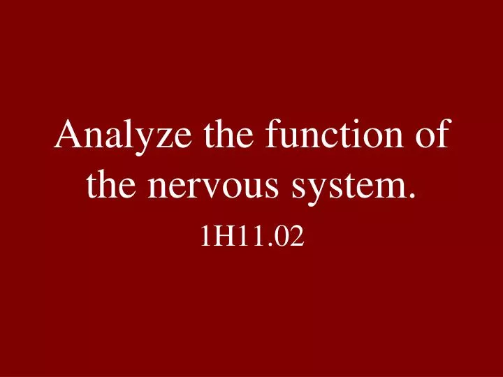analyze the function of the nervous system