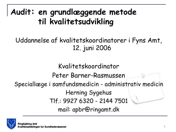 audit en grundl ggende metode til kvalitetsudvikling