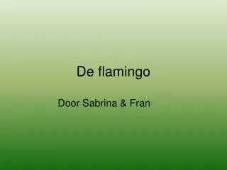 de flamingo