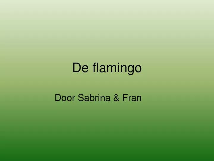 de flamingo