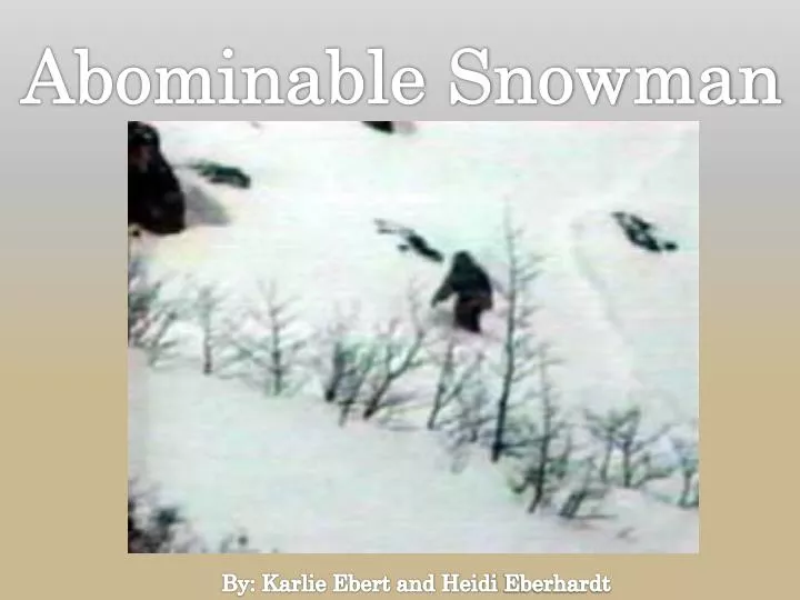 Abominable Snowman, Description & Theories
