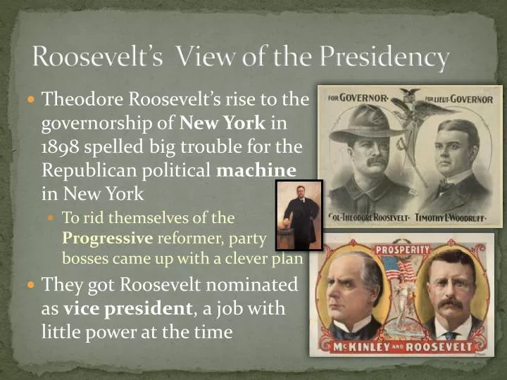 roosevelt s view of the presidency