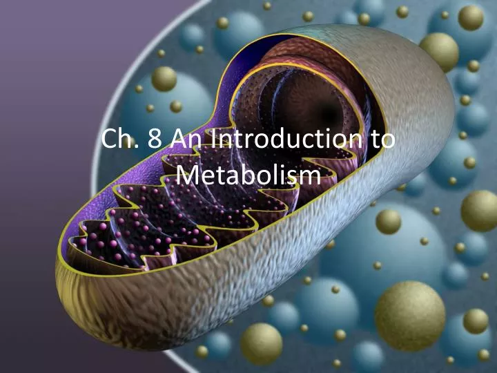 ch 8 an introduction to metabolism