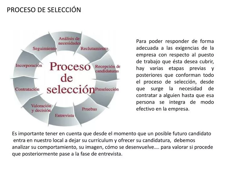 proceso de selecci n