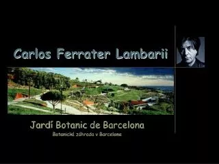 jard botanic de barcelona botanick z hrada v barcelone