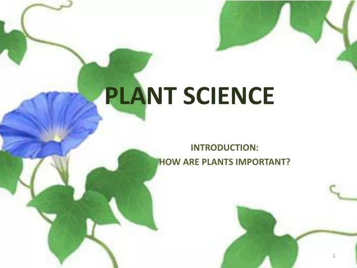 PPT - PLANT SCIENCE PowerPoint Presentation, Free Download - ID:6503209