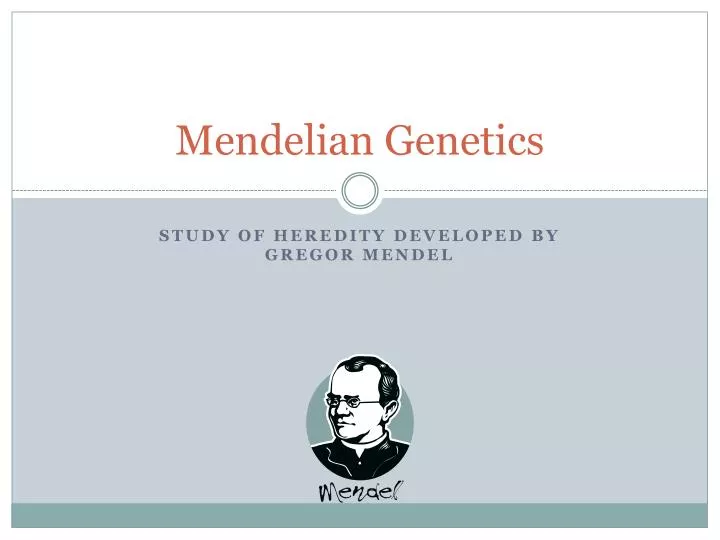 mendelian genetics