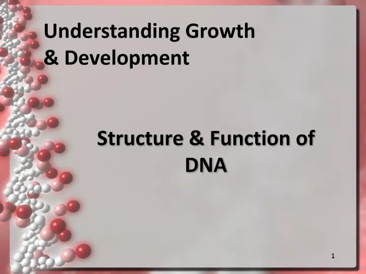 structure function of dna