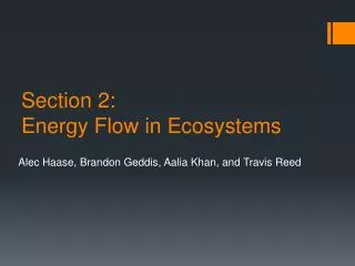 Section 2: Energy Flow in Ecosystems