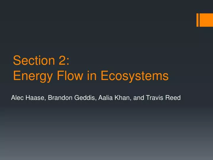 section 2 energy flow in ecosystems