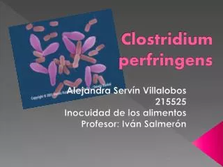 clostridium perfringens
