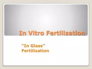 In Vitro Fertilization