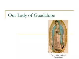 Our Lady of Guadalupe