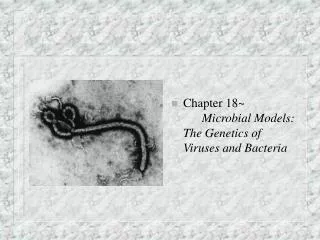 Chapter 18~	 Microbial Models: The Genetics of Viruses and Bacteria