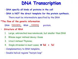 - DNA specify all kinds of proteins in the cell