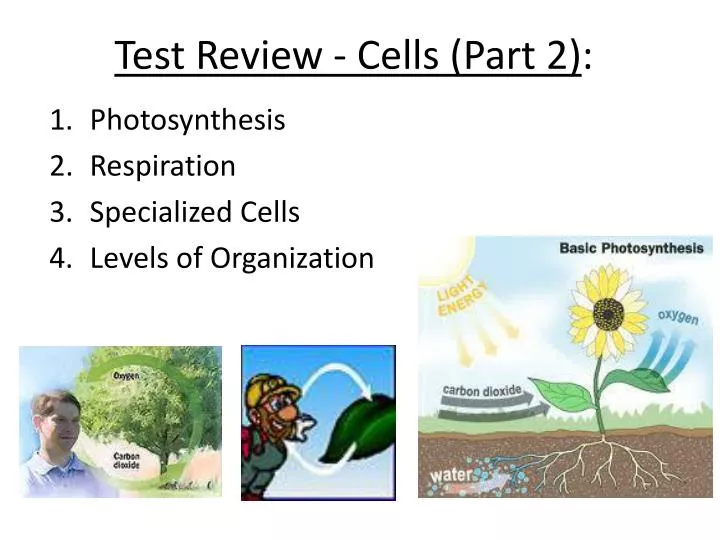 test review cells part 2
