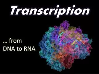 transcription