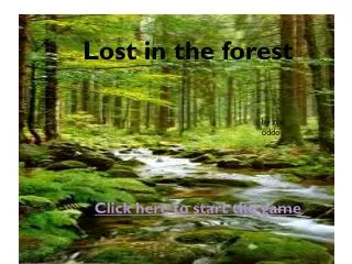 Lost in the forest