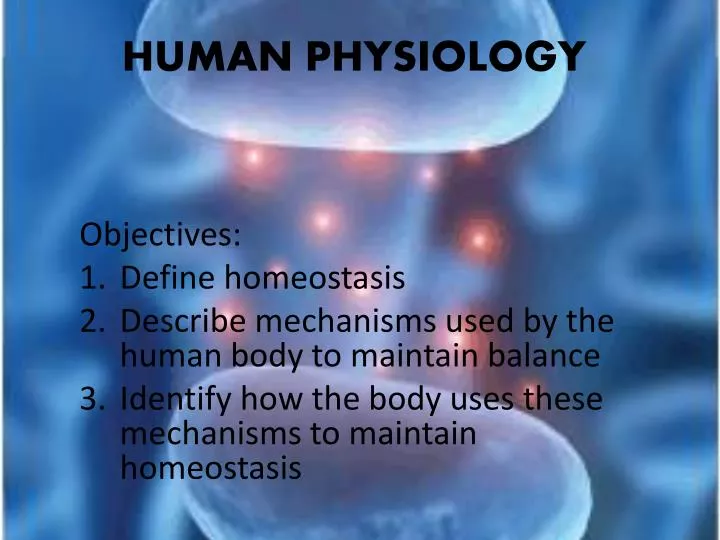 human physiology