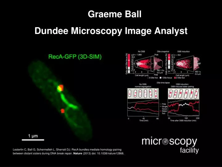 graeme ball dundee microscopy image analyst