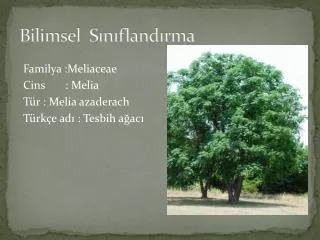bilimsel s n fland rma