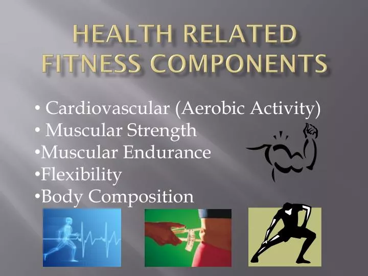 What Are The Health Related Components