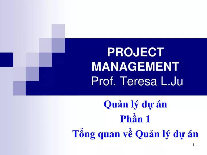 project management prof teresa l ju