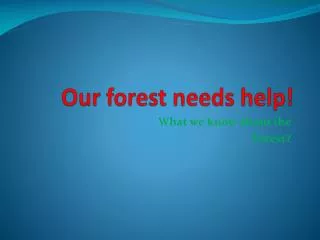 our forest needs help
