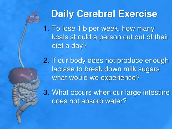 daily cerebral exercise