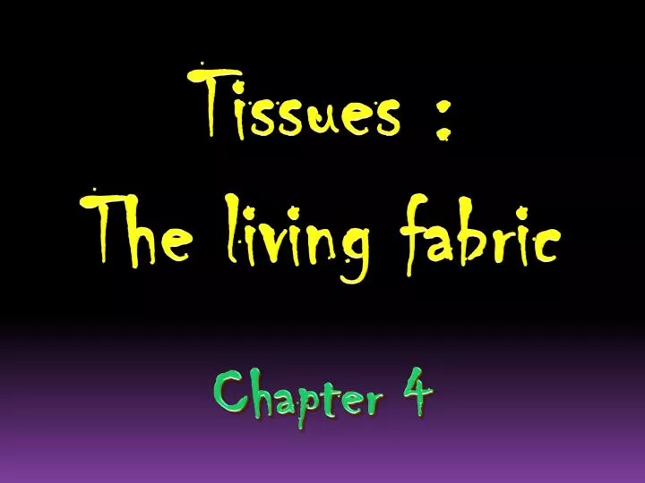 tissues the living fabric chapter 4
