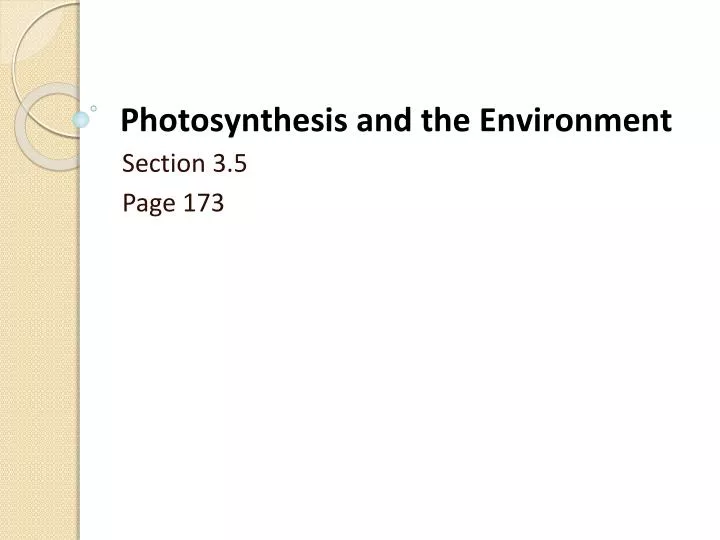 photosynthesis and the environment