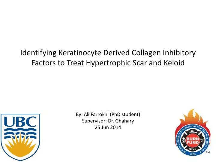 identifying keratinocyte derived collagen inhibitory factors to treat hypertrophic scar and keloid