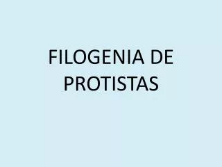 filogenia de protistas