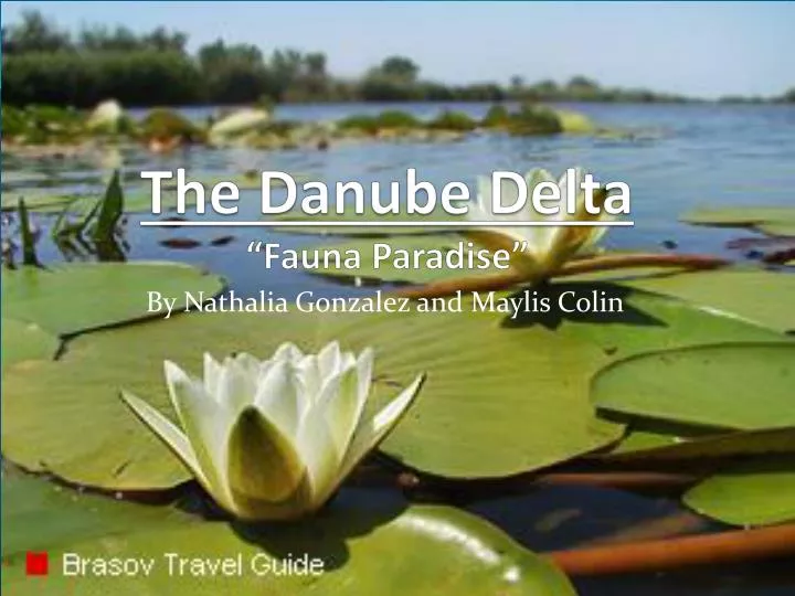the danube delta fauna paradise