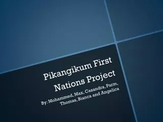 Pikangikum First Nations Project