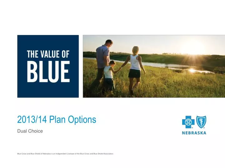 2013 14 plan options