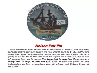 Nelson Fair Pin