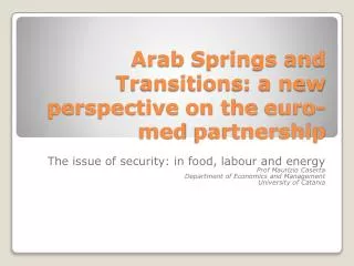 Arab Springs and Transitions : a new perspective on the euro-med partnership