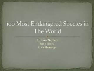 100 Most Endangered Species in The World