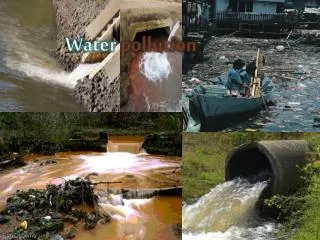 Water pollution