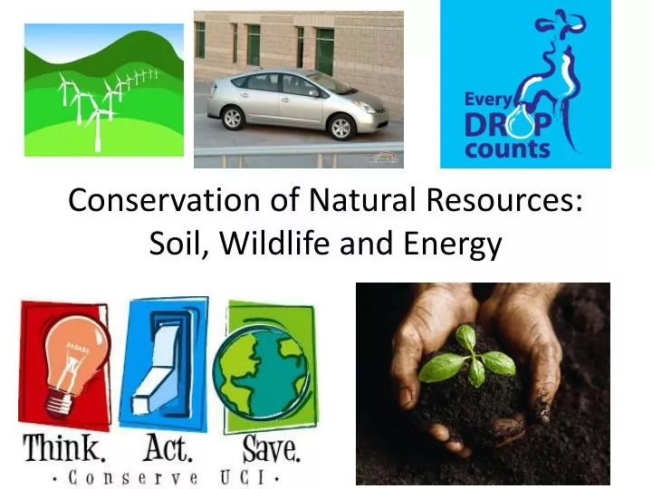 conservation of natural resources soil wildlife and energy