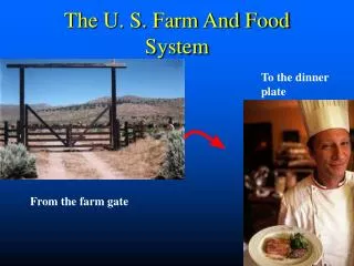 The U. S. Farm And Food System